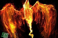 寒食節(jié)可以用火嗎？寒食節(jié)可以燒火嗎？