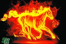 寒食節(jié)可以用火嗎？寒食節(jié)可以燒火嗎？