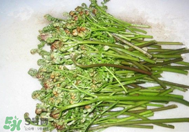 蕨菜怎么去苦味？蕨菜怎么做不苦？