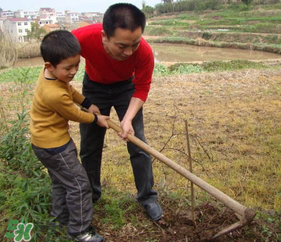 春天可以種哪些果樹？春天適合種哪些果樹？