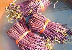 蕨菜不能和什么一起吃？蕨菜和什么不能一起吃？