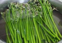 蕨菜怎么洗？蕨菜怎么清洗才干凈？