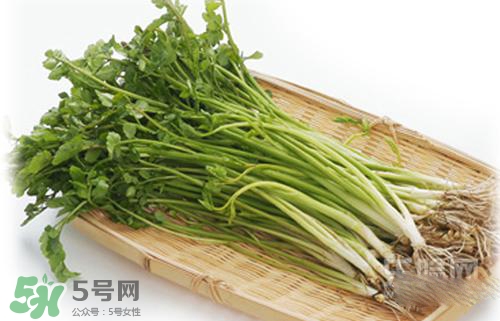 吃野芹菜會中毒嗎？吃野芹菜中毒了怎么辦？