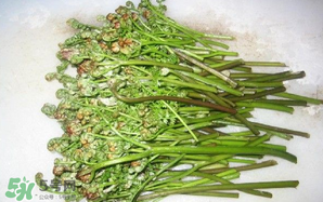 蕨菜怎么保存？蕨菜怎么保鮮？