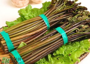 蕨菜怎么保存？蕨菜怎么保鮮？