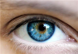 紋眼線會掉色嗎？紋眼線會變色嗎？