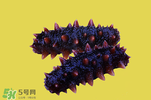 春天能吃海參嗎？春天吃海參效果好嗎？