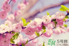 春天容易得水痘嗎？春天是水痘的高發(fā)季節(jié)嗎？