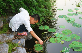 四月份可以釣黃鱔嗎？4月份可以釣黃鱔嗎？