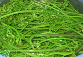 蕨菜怎么洗？蕨菜怎么清洗才干凈？