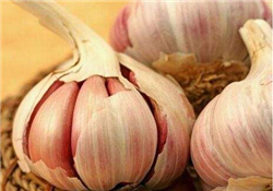 大蒜有種子嗎？大蒜的種子是什么？