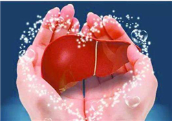 養(yǎng)肝護(hù)肝的食物 養(yǎng)肝的食物有哪些？