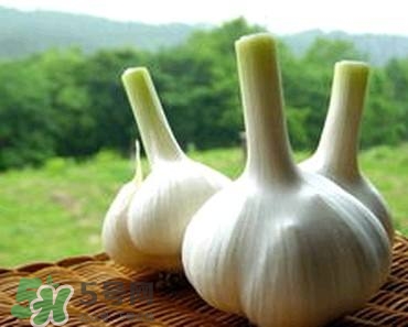 吃大蒜有什么好處？大蒜有什么功效？