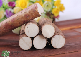 假山藥是什么 山藥真假有什么區(qū)別 假山藥是什么 山藥真假有什么區(qū)別