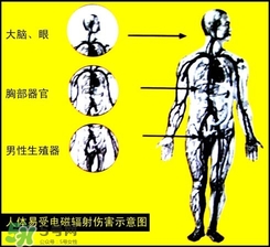 防輻射服什么時(shí)候開始穿？防輻射服真的有用嗎？