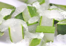 出水痘能用蘆薈膠嗎？水痘破了能擦蘆薈膠嗎？