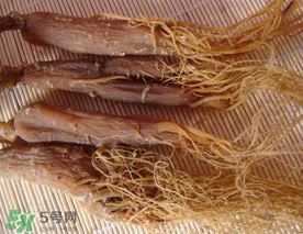 春天能吃紅參嗎？春天可以吃紅參嗎？