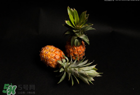 春天可以吃菠蘿嗎？春天吃菠蘿有什么好處？