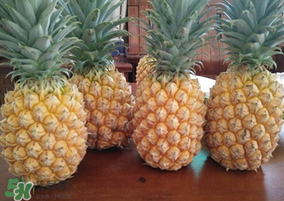 春天可以吃菠蘿嗎？春天吃菠蘿有什么好處？