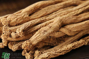 春天能吃黨參嗎？黨參什么人不能吃？