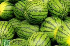 西瓜吃不完能用保鮮膜嗎？西瓜放冰箱需要保鮮膜嗎？