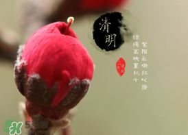 清明節(jié)為什么要吃清明果？為什么清明節(jié)要吃清明果？