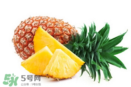 3月份有菠蘿吃嗎？三月份菠蘿可以吃嗎？