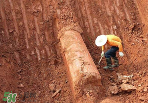 清明節(jié)遷墳好不好？2017年清明節(jié)哪天適合遷墳？