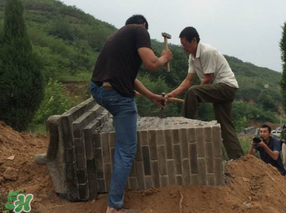 清明節(jié)遷墳好不好？2017年清明節(jié)哪天適合遷墳？