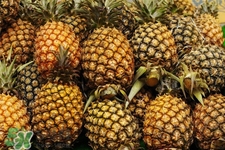 菠蘿可以吸甲醛嗎？菠蘿可以除甲醛嗎？