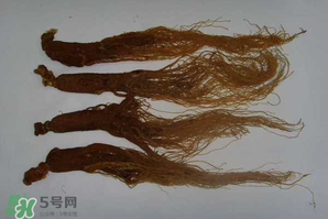 紅參可以天天吃嗎？紅參的功效與作用