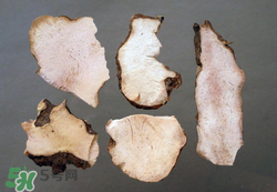 吃茯苓有什么好處？吃茯苓的禁忌