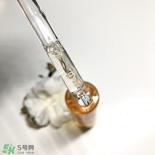 嬌蘭黃金蜜原蜜怎么用？嬌蘭黃金蜜原蜜使用方法