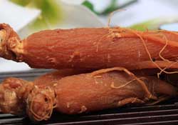 春天能吃紅參嗎？春天可以吃紅參嗎？