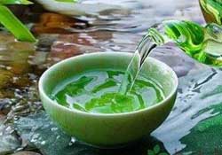 清明茶什么時候采？采清明茶什么時候結(jié)束？