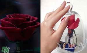 阿芙美女與野獸合作款有哪些？阿芙美女與野獸護(hù)膚品價(jià)格