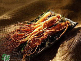 春天能吃高麗參嗎？春天可以喝高麗參湯嗎？