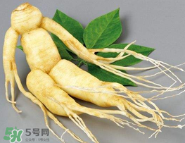 春天能吃高麗參嗎？春天可以喝高麗參湯嗎？