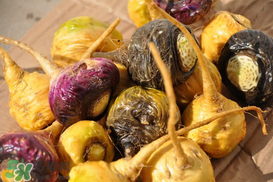 春天能吃瑪卡嗎？女人春天能吃瑪卡嗎？