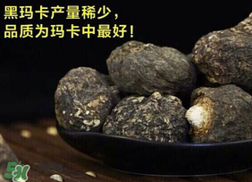 春天能吃瑪卡嗎？女人春天能吃瑪卡嗎？