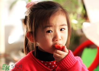 春天可以吃草莓嗎？春天吃草莓好嗎？