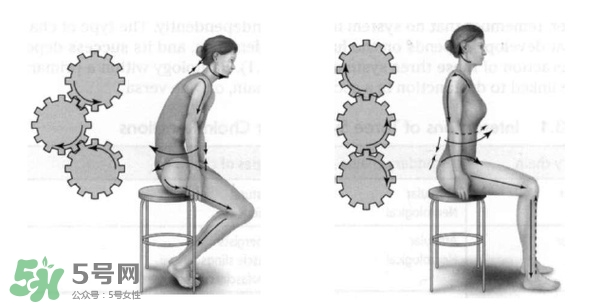 正確的坐姿是怎樣的？正確的寫字坐姿