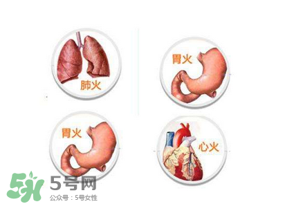 上火了喉嚨痛吃什么？上火了吃什么菜好？