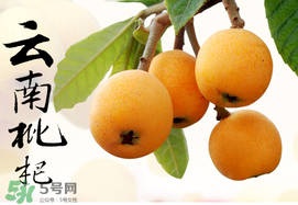 枇杷能放冰箱嗎？枇杷可以放冰箱保存嗎？