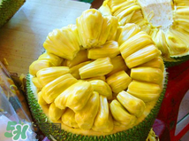 菠蘿蜜的營養(yǎng)價值 吃菠蘿蜜有什么好處？