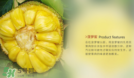 菠蘿蜜和榴蓮的區(qū)別 菠蘿蜜和榴蓮哪個(gè)好吃？