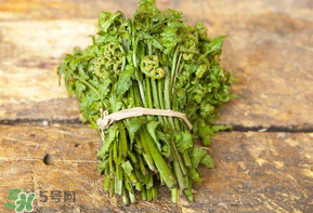 糖尿病能吃蕨菜嗎？糖尿病可以吃蕨菜嗎？