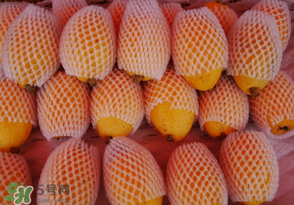 枇杷哪些人不能吃？哪些人不宜食用枇杷？