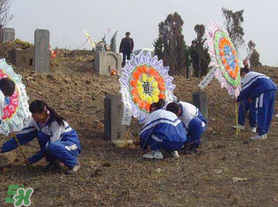 清明節(jié)穿什么衣服？清明節(jié)是適合穿什么衣服？