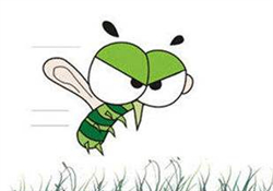 蚊蟲叮咬會傳播艾滋病嗎？蚊蟲會傳染乙肝嗎？